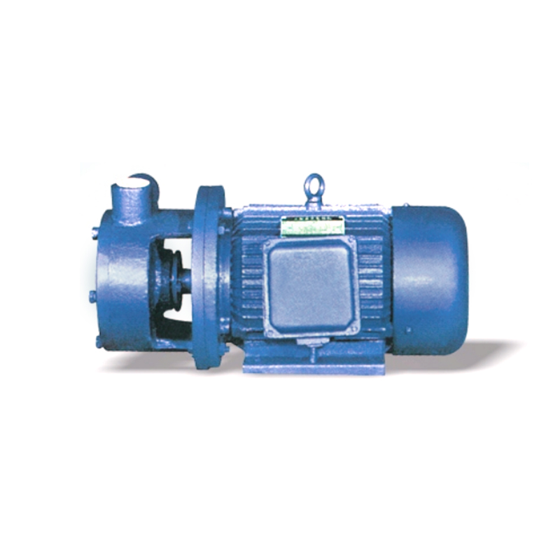 Bomba vórtice de una sola etapa de 1W Self Priming